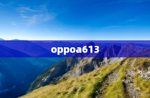 oppoa613